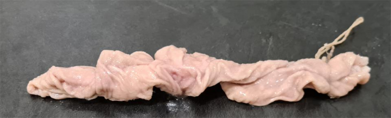 Schweinekrause Kaliber 72+ abgebunden mit Schlaufe 27cm