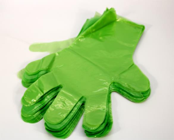 Einweghandschuh grün 100 Stück  Polyhandschuhe