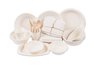 Bagasse Verpackung