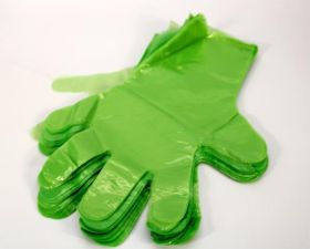 Einweghandschuh grün 100 Stück  Polyhandschuhe